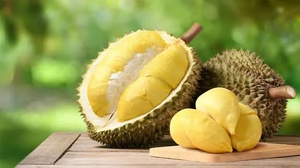 Durian.png