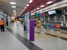 autobus-wansung-vomi Singapuralantine