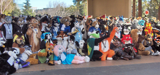 Klaanidai fu durdjin na medtullazma.